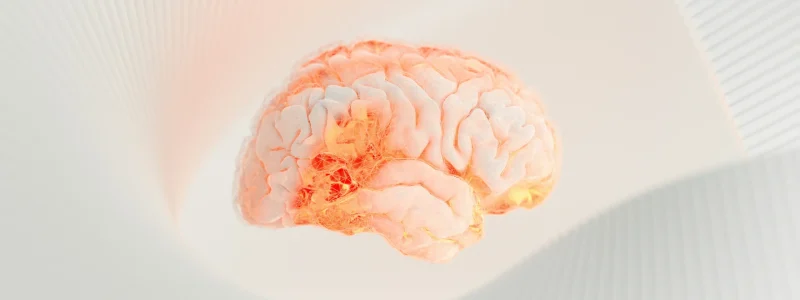 O que é inteligência artificial? Capa mostrando um cérebro laranja com um fundo abstrato